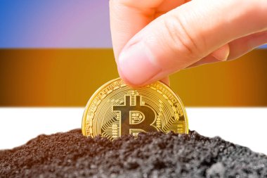 Legalization of bitcoins in Estonia. Planting a Bitcoin in the ground against the background of the flag of Estonia. Estonia - investment in cryptocurrency. . High quality photo