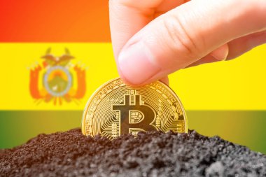 Legalization of bitcoins in Bolivia. Planting a Bitcoin in the ground against the background of the flag of Bolivia. Bolivia - investment in cryptocurrency. . High quality photo