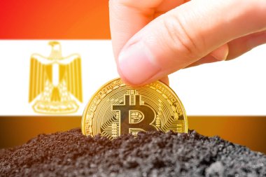 Legalization of bitcoins in Egypt. Planting Bitcoin in the ground on the background of the flag of Egypt. Egypt - investment in cryptocurrency. . High quality photo