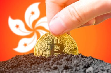 Bitcoin legalization in Hong Kong. Planting a Bitcoin in the ground against the background of the flag of Hong Kong. Hong Kong - investment in cryptocurrency. High quality photo
