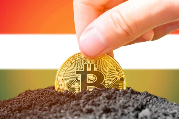 Legalization Bitcoins Hungary Planting Bitcoin Ground Background Flag Hungary Hungary — стокове фото