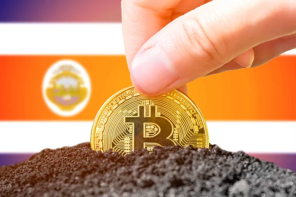 Legalization of bitcoins in Costa Rica. Planting a Bitcoin in the ground against the background of the flag of Costa Rica. Costa Rica - investment in cryptocurrency. High quality photo