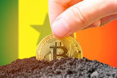 Legalization of bitcoin in Senegal. Planting bitcoin in the ground on the background of the flag of Senegal. Senegal - investment in cryptocurrency. High quality photo