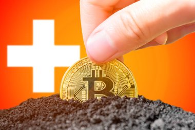 Legalization of bitcoins in Switzerland. Planting a Bitcoin in the ground against the background of the flag of Switzerland. Switzerland - investment in cryptocurrency. . High quality photo