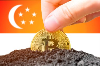 Legalization of bitcoins in Singapore. Planting a Bitcoin in the ground against the background of the flag of Singapore. Singapore - investment in cryptocurrency. High quality photo