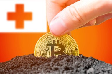 Legalization of bitcoin in Tonga. Planting bitcoin in the ground on the background of the flag of Tonga. Tonga - investment in cryptocurrency. High quality photo