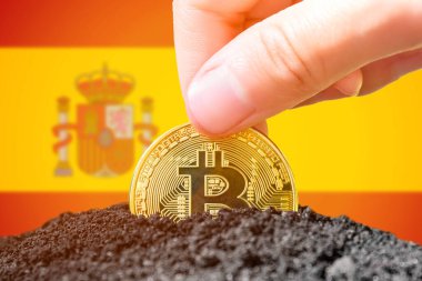 Legalization of bitcoin in Spain. Planting bitcoin in the ground on the background of the flag of Spain. Spain - investment in cryptocurrency. High quality photo