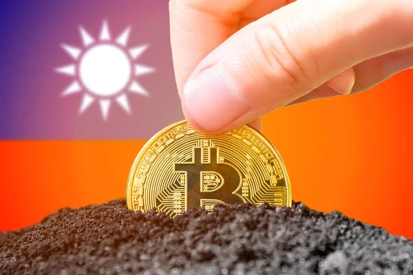 Legalization Bitcoin Taiwan Planting Bitcoin Ground Background Flag Taiwan Taiwan — стокове фото