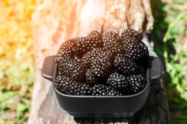 Plate Ripe Blackberries Wooden Surface Blackberry Harvest High Quality Photo — Foto Stock
