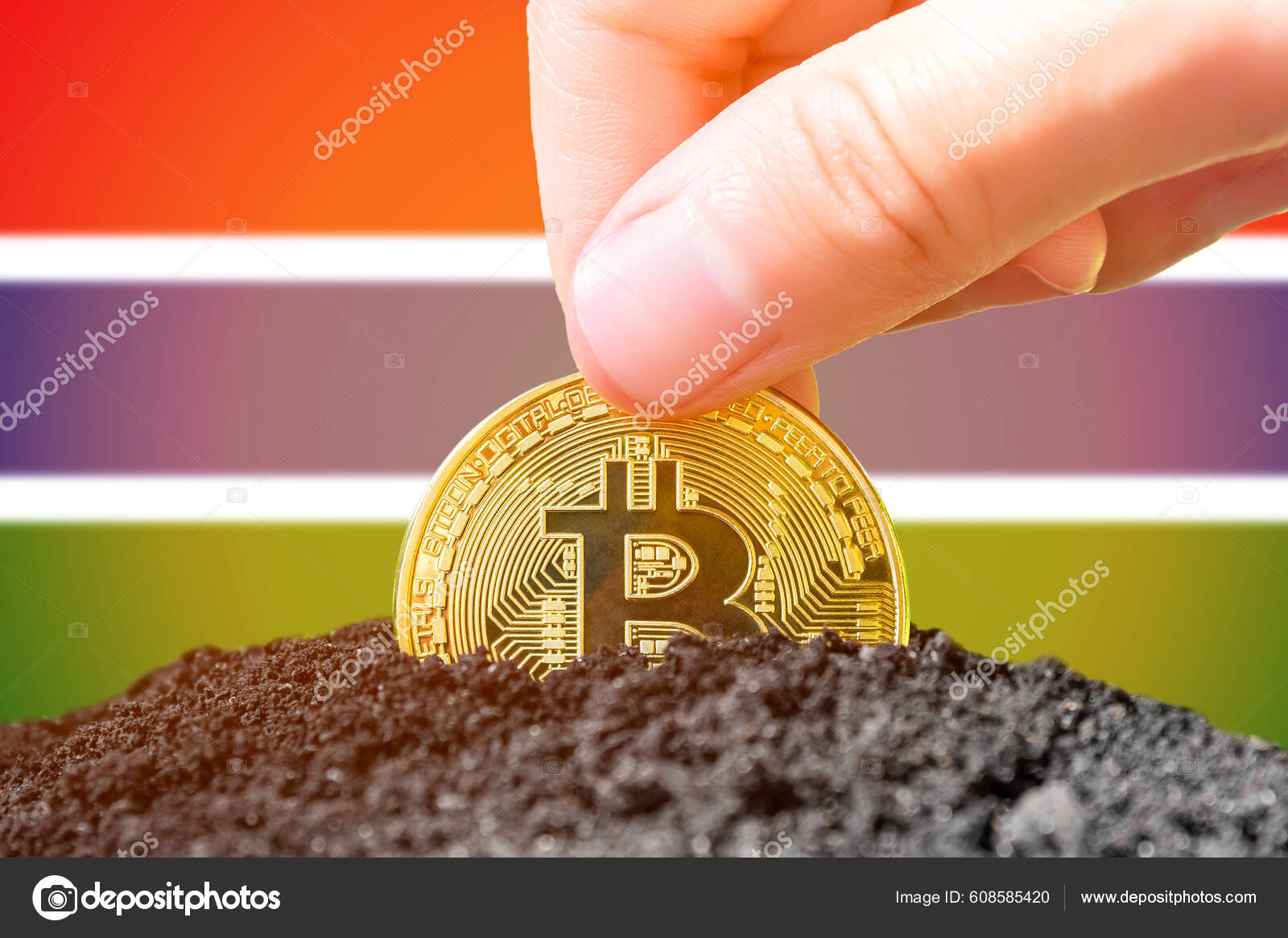 Legalization Bitcoin Gambia Planting Grain Bitcoin Ground Background Flag  Gambia — Stock Editorial Photo © SashaMagic #608585420