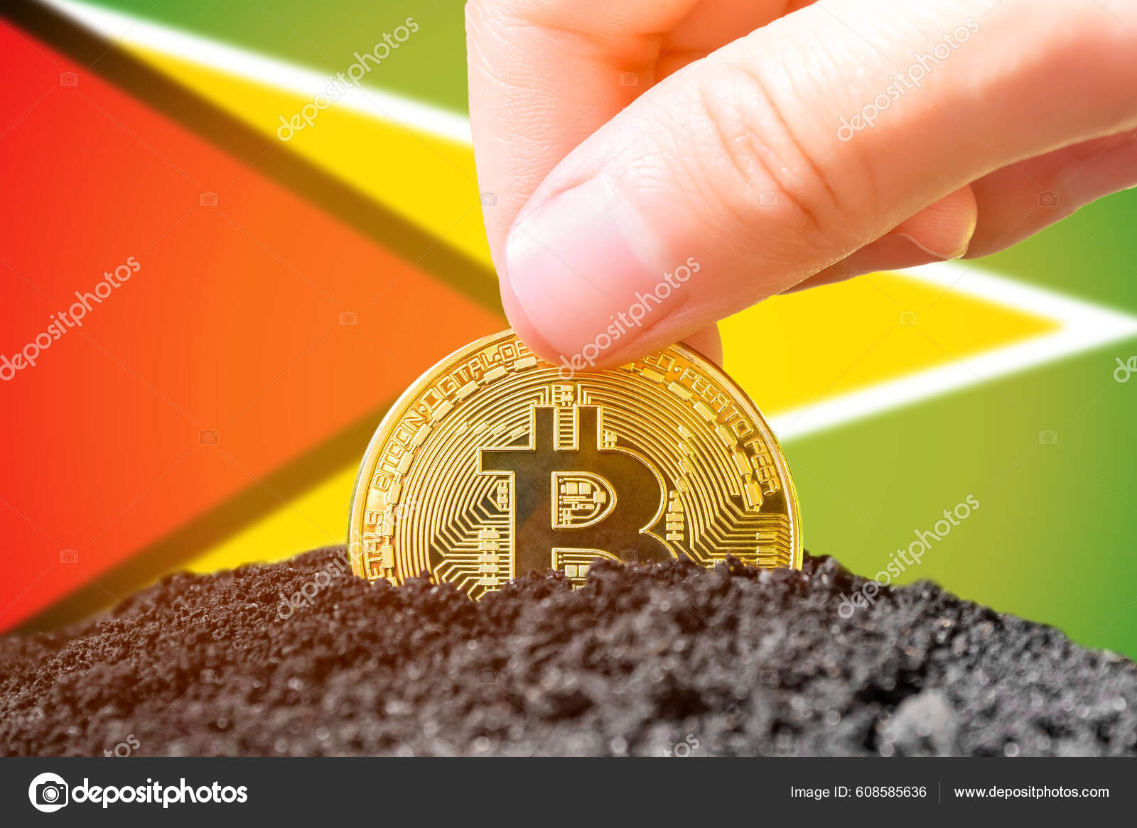 ガイアナでのビットコインの合法化 ガイアナの国旗を背景にビットコインを植えます ガイアナ 暗号通貨への投資 高品質の写真 —  ストック編集用写真©SashaMagic#608585636