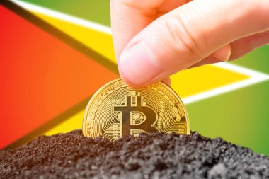Guyana 'da bitcoin yasallaştırması. Guyana bayrağının arka planına bitcoin yerleştirmek. Guyana - kripto para yatırımı. Yüksek kalite fotoğraf