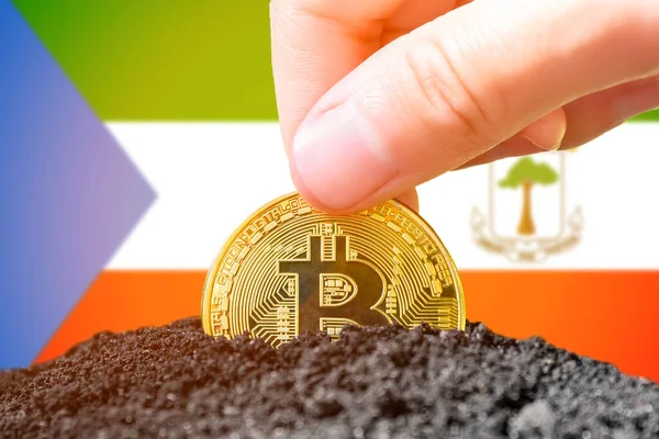 Legalização Bitcoin Guiné Equatorial Plantando Bitcoin Grão Chão Fundo Bandeira — Fotografia de Stock