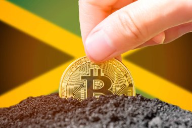 Jamaika 'da bitcoin yasallaştırması. Jamaika bayrağının arka planına bitcoin yerleştirmek. Jamaika - kripto para birimine yatırım. Yüksek kalite fotoğraf