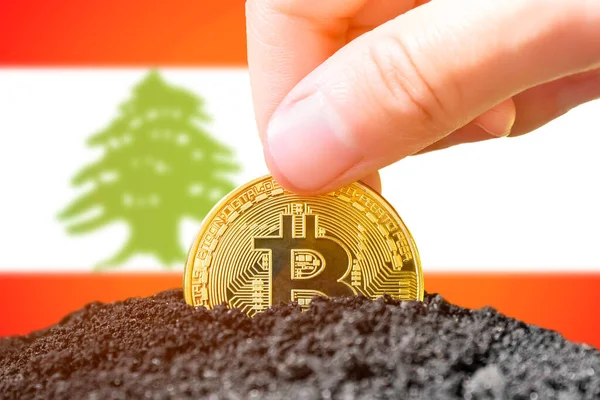 Lübnan 'da bitcoin yasallaştırması. Lübnan bayrağının arka planına bitcoin yerleştirmek. Lübnan - kripto para birimine yatırım. Yüksek kalite fotoğraf