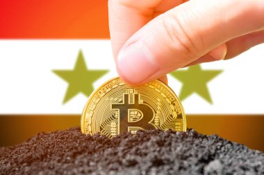 Suriye 'de bitcoin yasallaştırması. Suriye bayrağının arka planına bitcoin tohumu ekerek. Suriye - kripto para birimine yatırım. Yüksek kalite fotoğraf