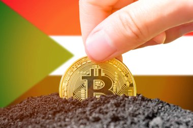 Sudan 'da bitcoin yasallaştırması. Sudan bayrağının arka planına bitcoin yerleştirmek. Sudan - kripto para yatırımı. Yüksek kalite fotoğraf
