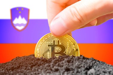 Slovenya 'da bitcoin yasallaştırması. Slovenya bayrağının arka planına bitcoin yerleştirmek. Slovenya - kripto para birimine yatırım. Yüksek kalite fotoğraf