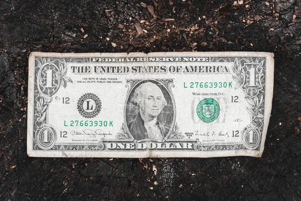 Een Amerikaanse Dollar Bankbiljet Van Dollar Verouderde Dollar Een Dollar — Stockfoto