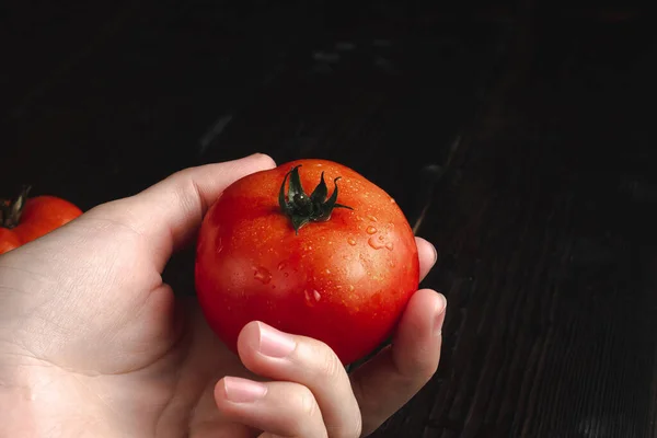Organiczny Pomidor Ręku Trzyma Dojrzałego Pomidora Czerwony Pomidor Wysokiej Jakości — Zdjęcie stockowe