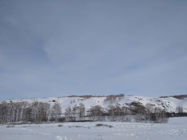 Invierno Trae Alegría Tranquilidad Las Personas Que Vienen Bosque — Foto de Stock