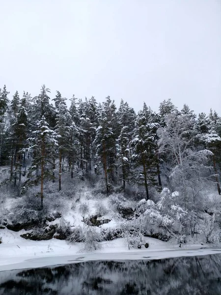 Ονειροειδές Χειμερινό Δάσος Μετά Από Χιονόπτωση Και Παγωμένους Βράχους Στο — Φωτογραφία Αρχείου
