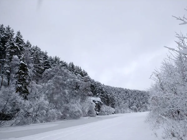 山の雪と氷の岩の後の冬の森のような夢 — ストック写真