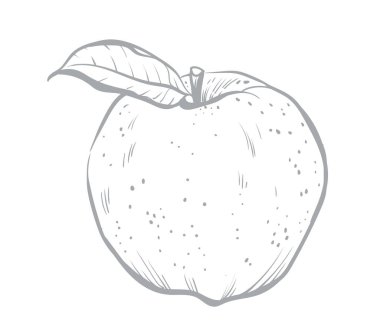Apple vektör çizimi