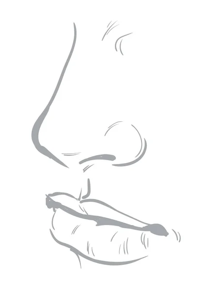 Genç bir kadın vektör çiziminin dudakları ve burnu