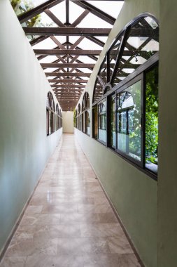 Cam çatılı ve yan pencereli parlak bir galerinin uzun yeşil duvarlı koridoru