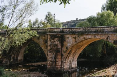 Colegiata de san Pedro illuminated at night Lerma, Burgos, Castilla y Leon, Spain