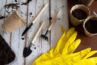 Bahçıvanlık aletleri, toprak toprağı ve mavi ahşap arka planda eldivenleri olan fideler için turba saksıları. Ev bahçesi konsepti.