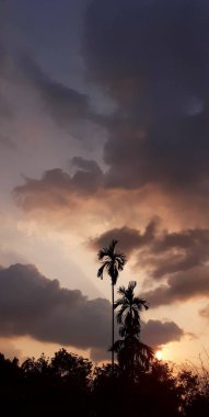 Manzara betel ve hindistan cevizi ağacı, insan yerleşim yerinin yakınındaki bahçede betel fındık ağaçlarının silueti ile bir akşam. Günbatımı turuncu gökyüzü, gri bulutlar, dikey resim konsepti.