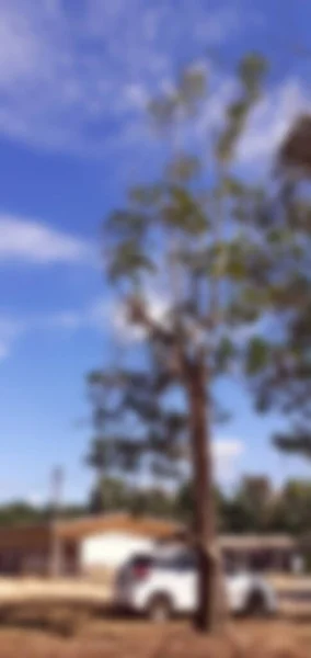 Landscape Blur Image Vertically Tree Blue Sky White Clouds Bottom — Stock Photo, Image