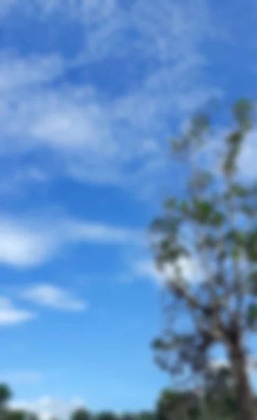 Пейзаж Размытое Изображение Вертикально Дерево Голубым Небом Белые Облака Снизу — стоковое фото