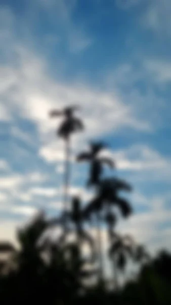 Paisaje Imagen Borrosa Verticalmente Palma Betel Con Cielo Azul Nubes — Foto de Stock