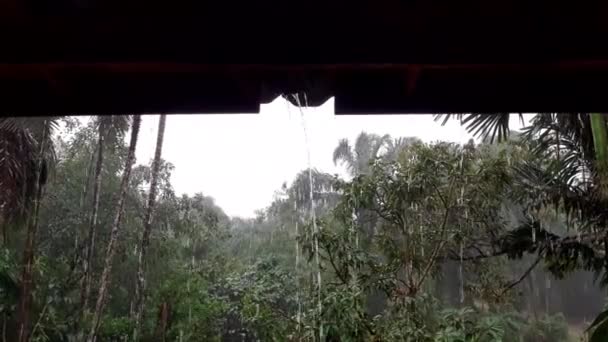 Chuva Telhado Jardim Casa Tempo Pesado Que Chove Com Estação — Vídeo de Stock