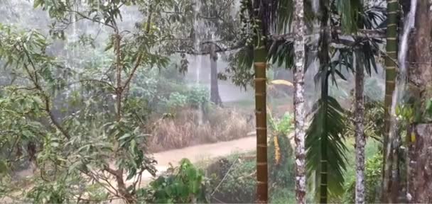 Chuva Caiu Telhado Casa Atmosfera Jardim Com Tempestades Ranong Tailândia — Vídeo de Stock