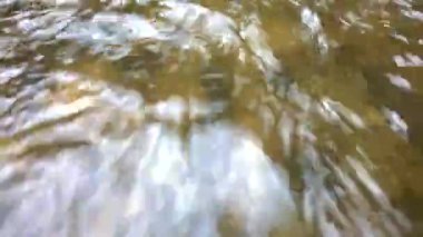 Su akıntıları Tayland 'ın kırsal kesiminde tatlı su kaynaklarını kapatır. Ormanın doğal manzarası arasında saf ve temiz bir nehir, makro konsept ile FHD 'deki su çekim videosunun yüzeyine yakın hareket eder.