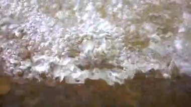Su akıntıya yakın menzilde akar, su damlacıkları süngerin yüzeyinde, akan suyun soyut arka planında bulunur. Makro doğa FHD video çekimi kavramı.