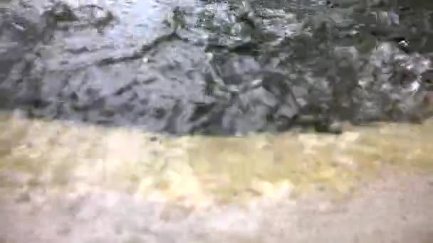 大きな貯水池からの輝く雨滴のクローズアップビデオ 端のコンテナを流れる水 背景のセメント床 タイ南部での雨の日のコンセプト — ストック動画