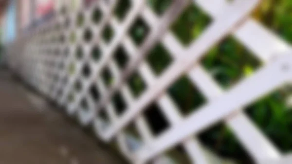 White Painted Wooden Fence House Textured Pattern Beautiful Decoration Greenery — ストック写真