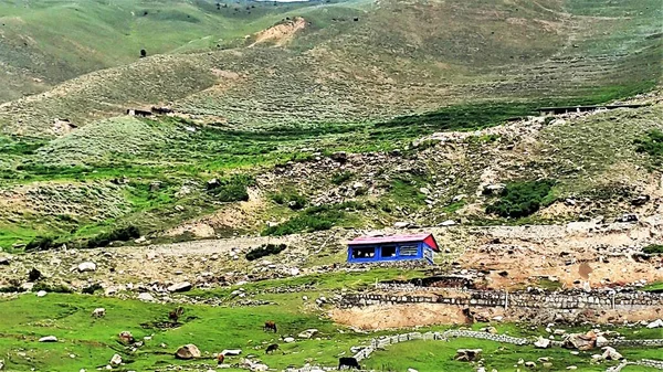 パキスタン北部カラコルムハイウェイ沿いの緑の山と谷の美しい景色 — ストック写真