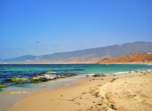 Beauty Nature Pristine White Sand Beaches Stunning Horizon View Mirbat — Stock Photo, Image