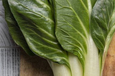 İsviçre pazı yaprakları yakın çekim: yüksek lifli yapraklı sebzeler, antioksidan zengini besin değeri en yüksek gıdalar arasında, kalorisi düşük, onu zayıflamaya elverişli bir yiyecek yapıyor. Sağlıklı yaşam tarzı kavramı. Yatay resim, seçici fok