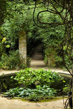 Fransız bahçesinde nilüfer ve pergola ile dolu bir havuz. Jardin Serre de la Madone, nadir bulunan bitkilerle birlikte. Yaz. Menton, Fransa.