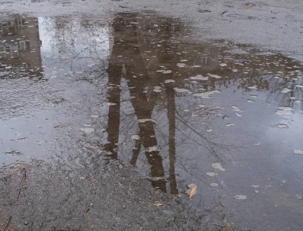 Bir ağacın yansıması ve sonbahar birikintisinde bir bina