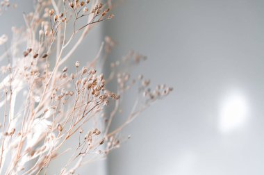 Kuru çiçeklerden ya da dallardan dekorasyon