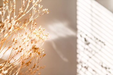 Kuru çiçeklerden ya da dallardan dekorasyon