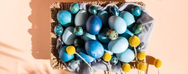 Ev yapımı mavi renkte doğal boyanmış yumurtalar.